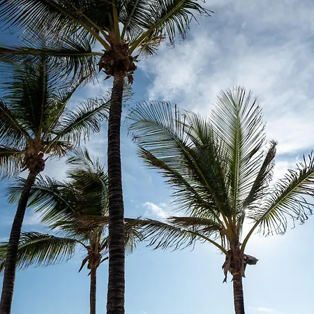 Apartamento Canteras Ocean Terrace - Atico Con Terraza Y Vistas A Canteras *